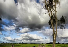 世预赛排行榜是如何影响球队晋级之路的?